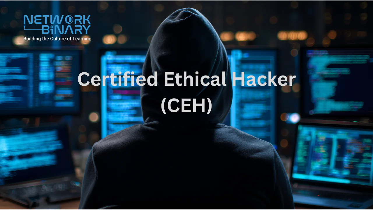 Certified Ethical hacker (CEH)